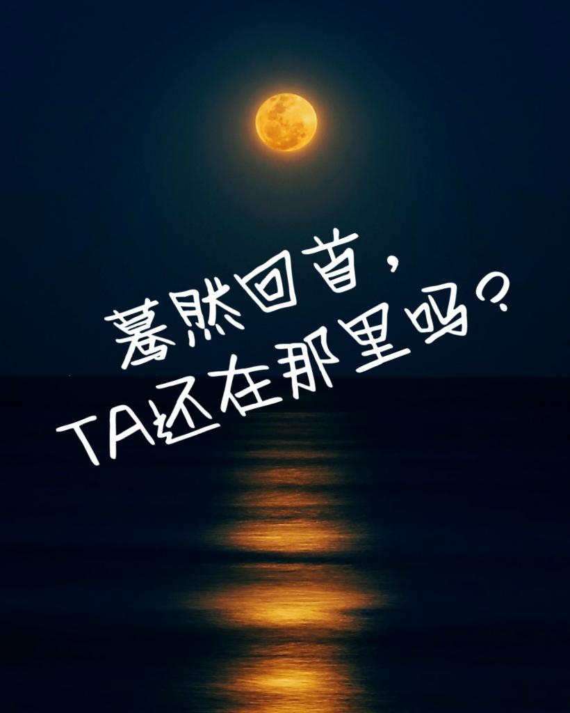 今夜新婚排骨辣酱免费阅读