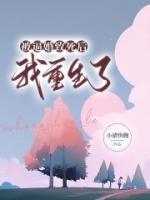 无限流npc扮演师落雁城笔趣阁