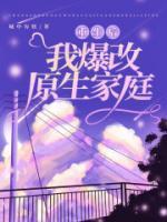 我是我自己的情敌 书了了