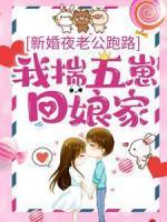 贤夫执业手册凤久安