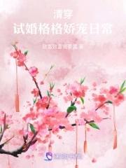 暗影画帏帘什么意思