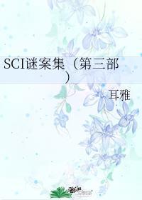 SCI谜案集第三部