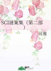 SCI谜案集第二部